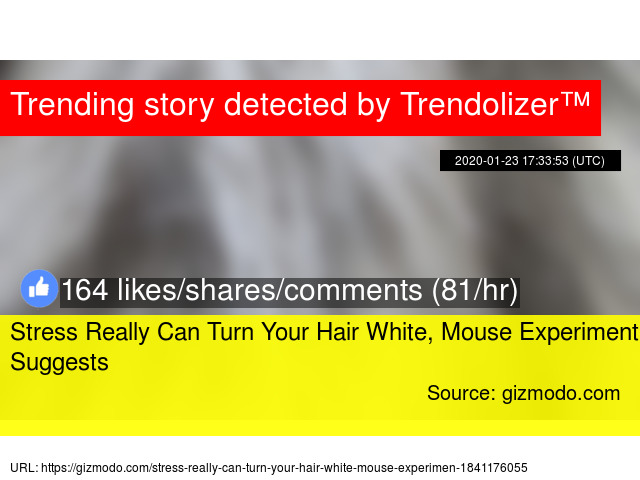 Stress Really Can Turn Your Hair White Mouse Experiment Suggests